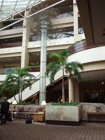 hall hyatt (337Wx450H) - hyatt regency cincinnati 